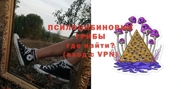 МДПВ Алексин