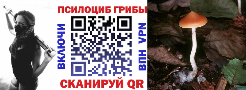 Галлюциногенные грибы Psilocybe  MEGA зеркало  Выкса 